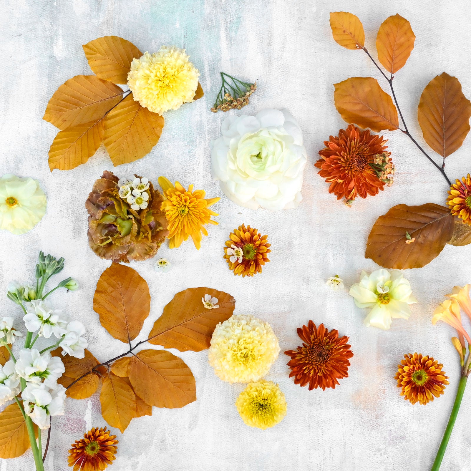 Deluxe Designer's Choice Vased Arrangement