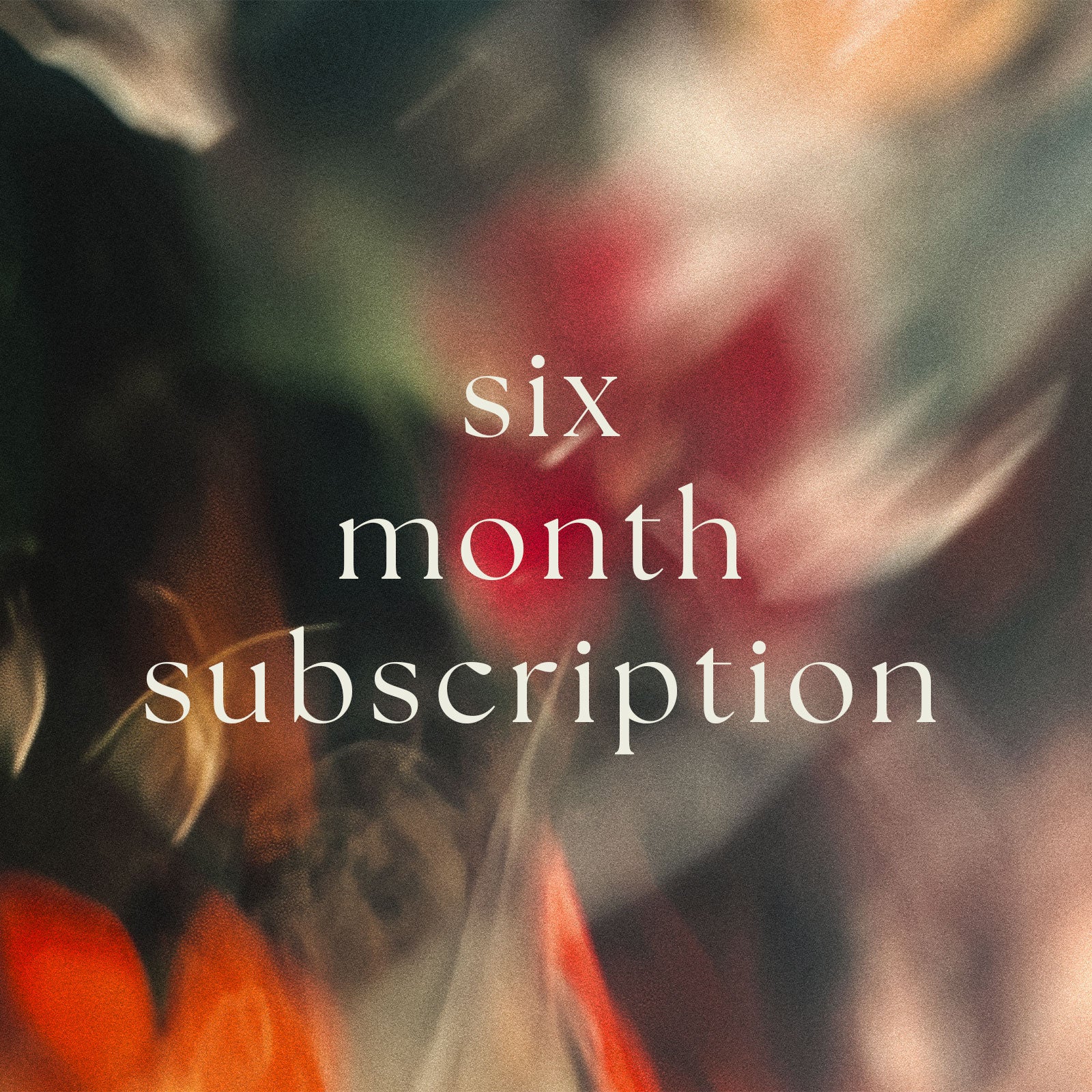 6 Month Plant Subscription