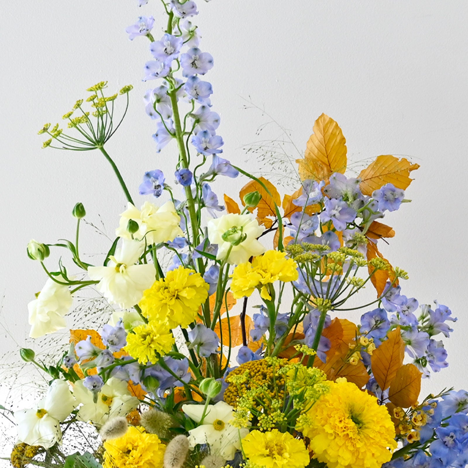 Wildflower Exploration: July 9