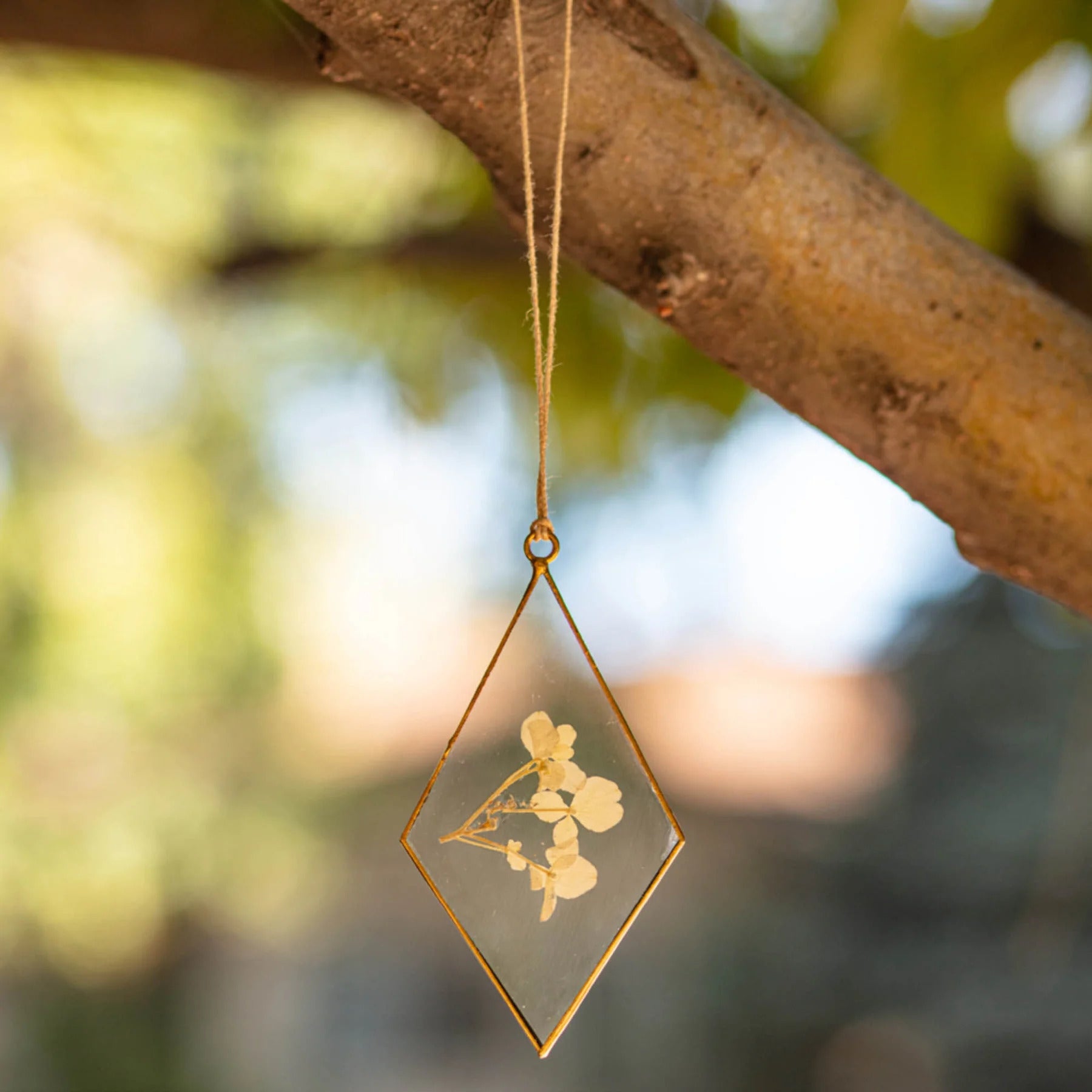 Rosy Rings Ivory Diamond Pressed Floral Suncatcher