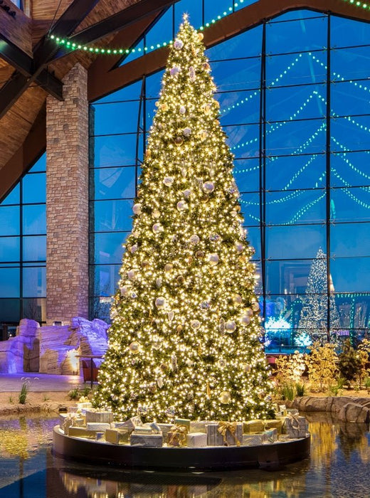 Christmas at the Gaylord Rockies - The Perfect Petal