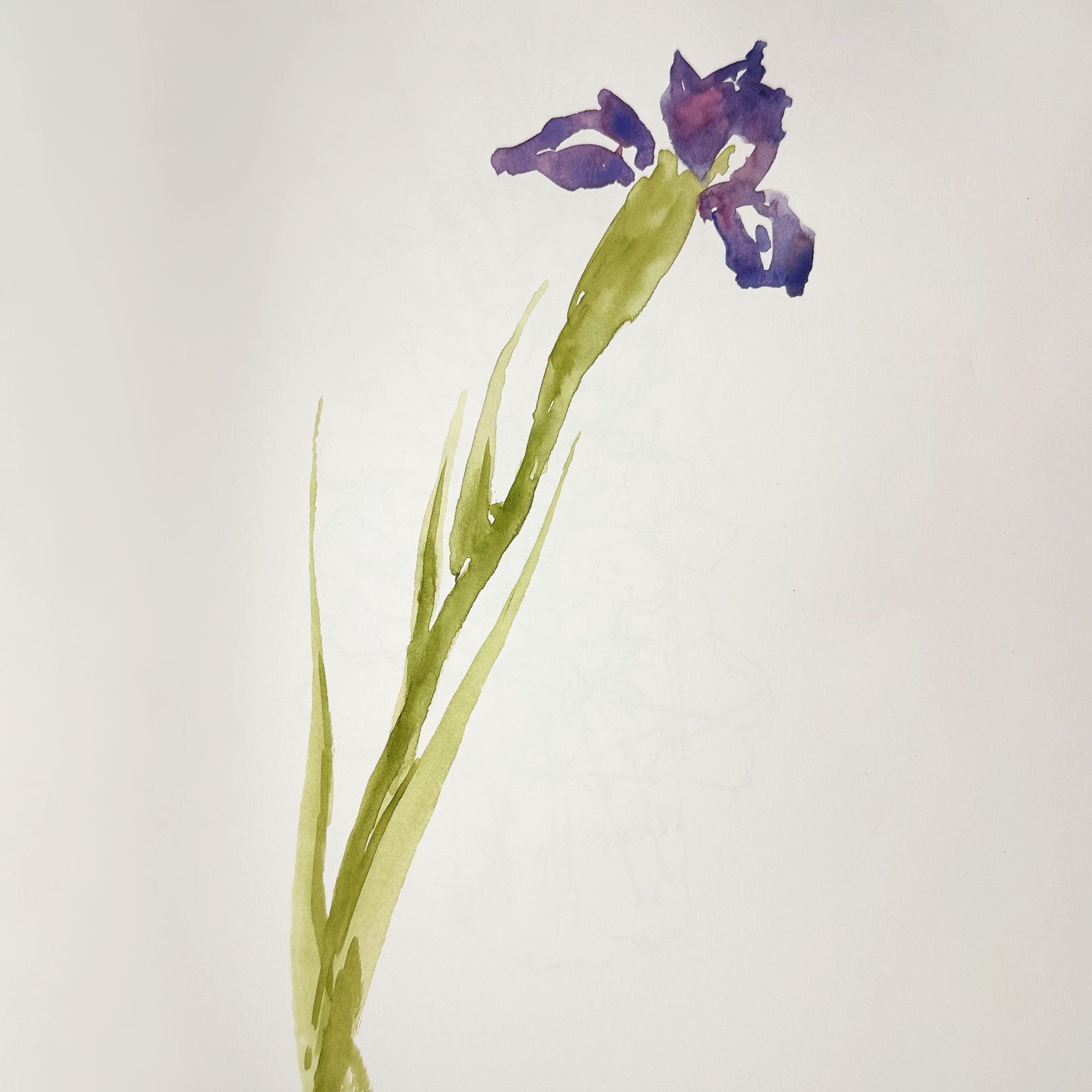 Watercolor Botanicals Workshop with J Michael Gatlin - May 23
