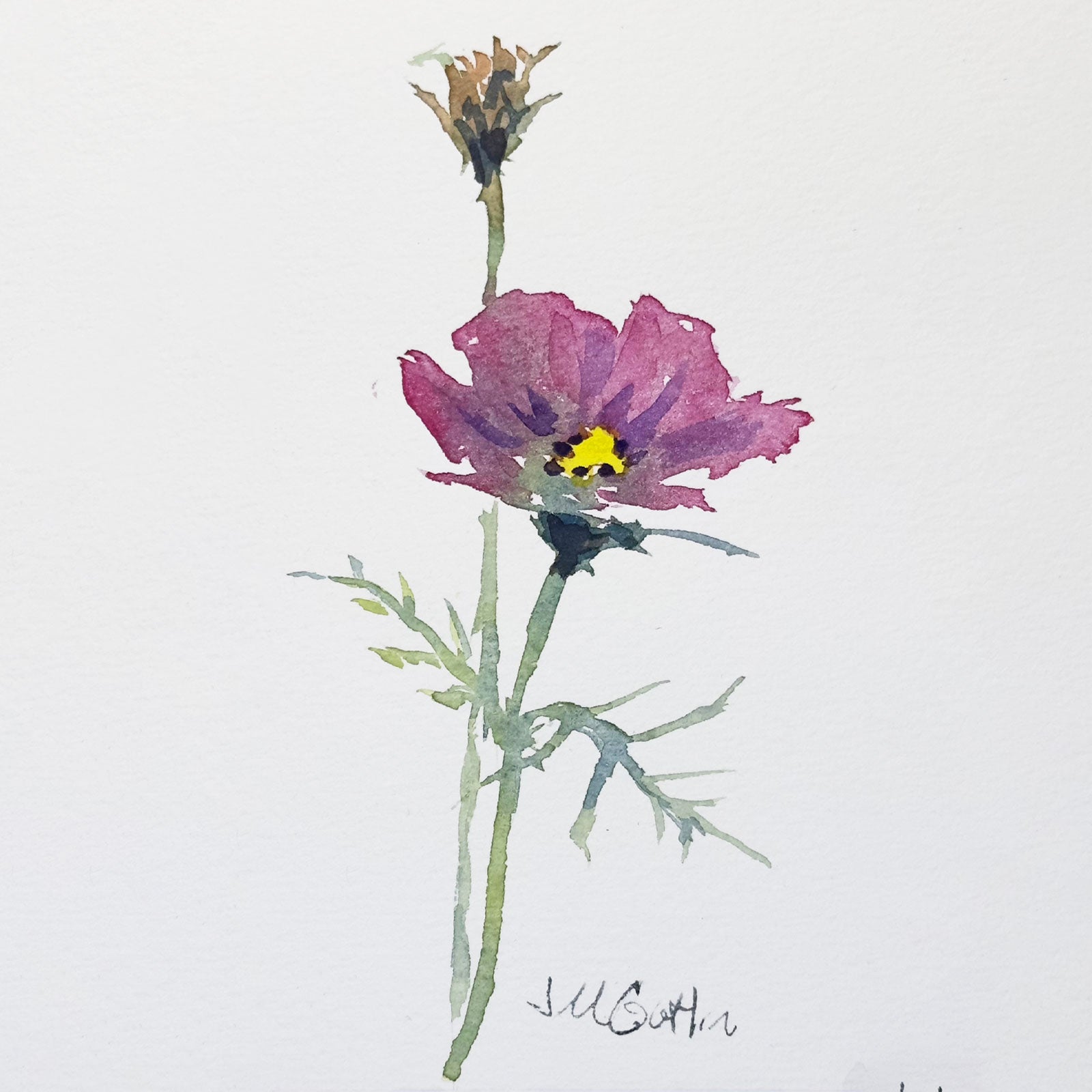 Watercolor Botanicals Workshop with J Michael Gatlin - May 23