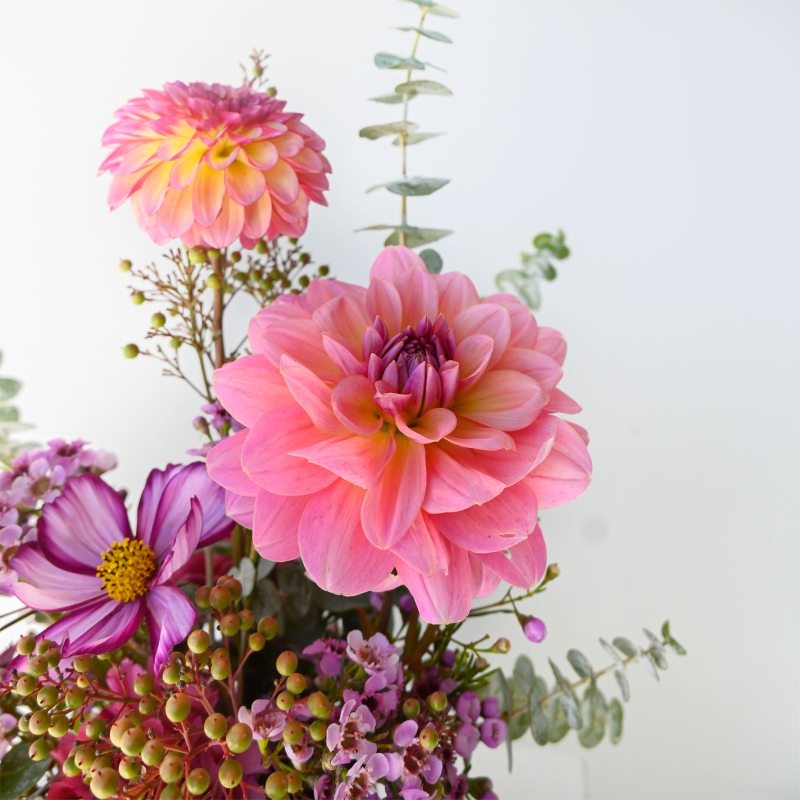 Autumn Dandy
