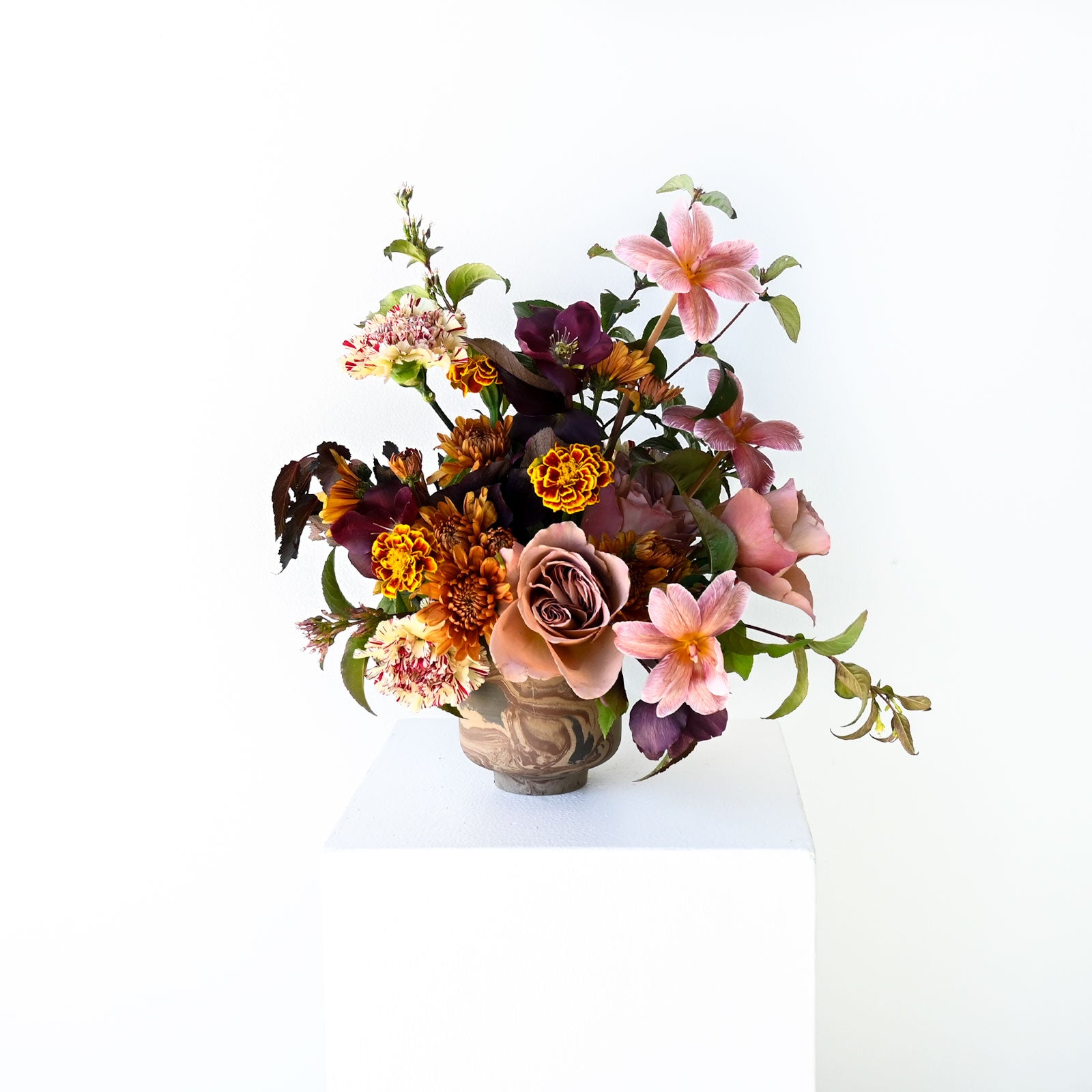 Mahogany Rose