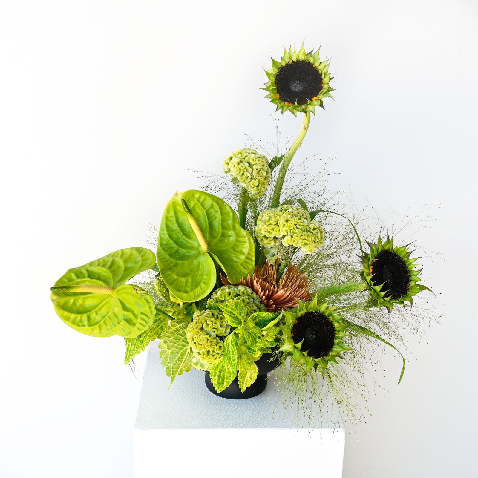Nature Abstracted