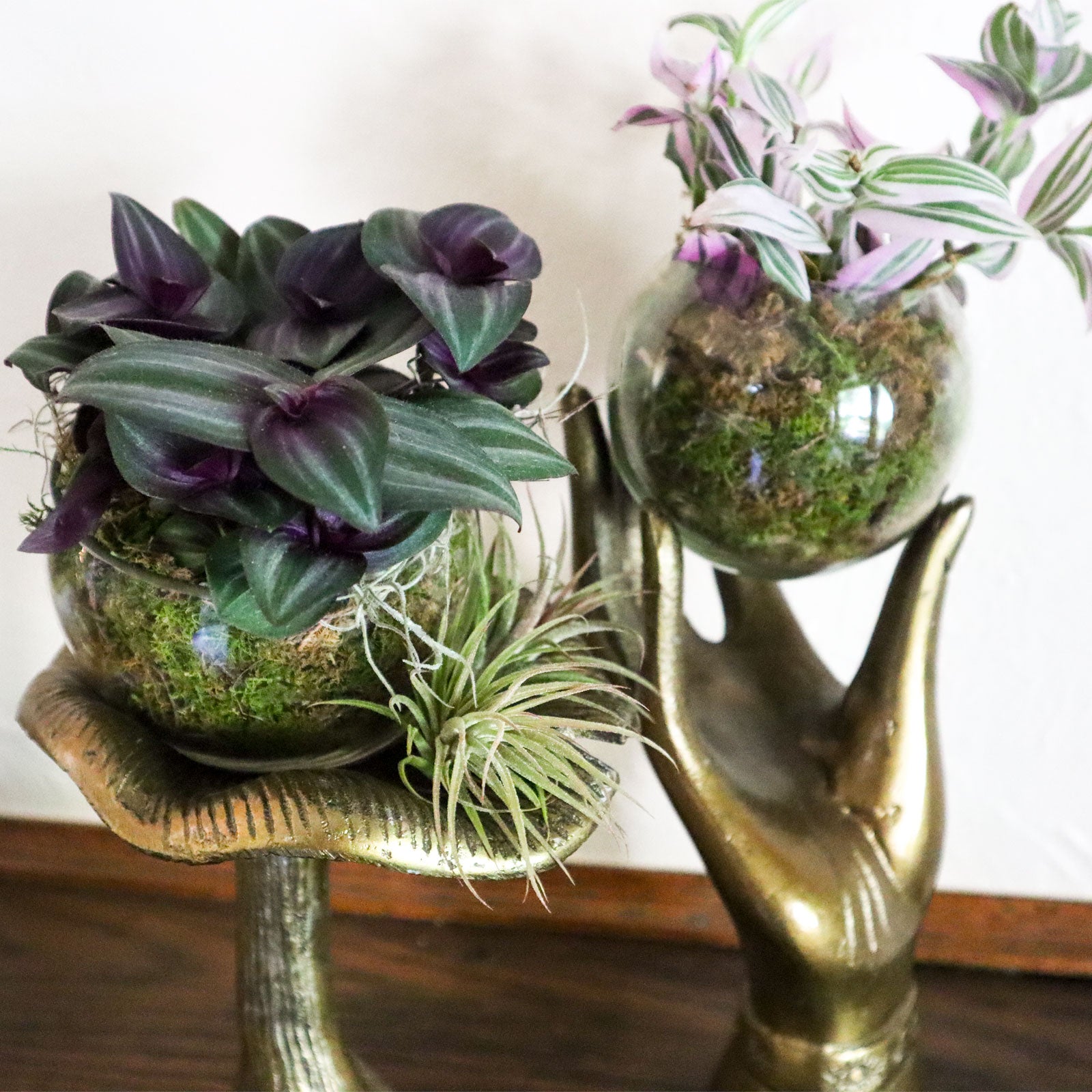 Plant Orbs in Deco Stand