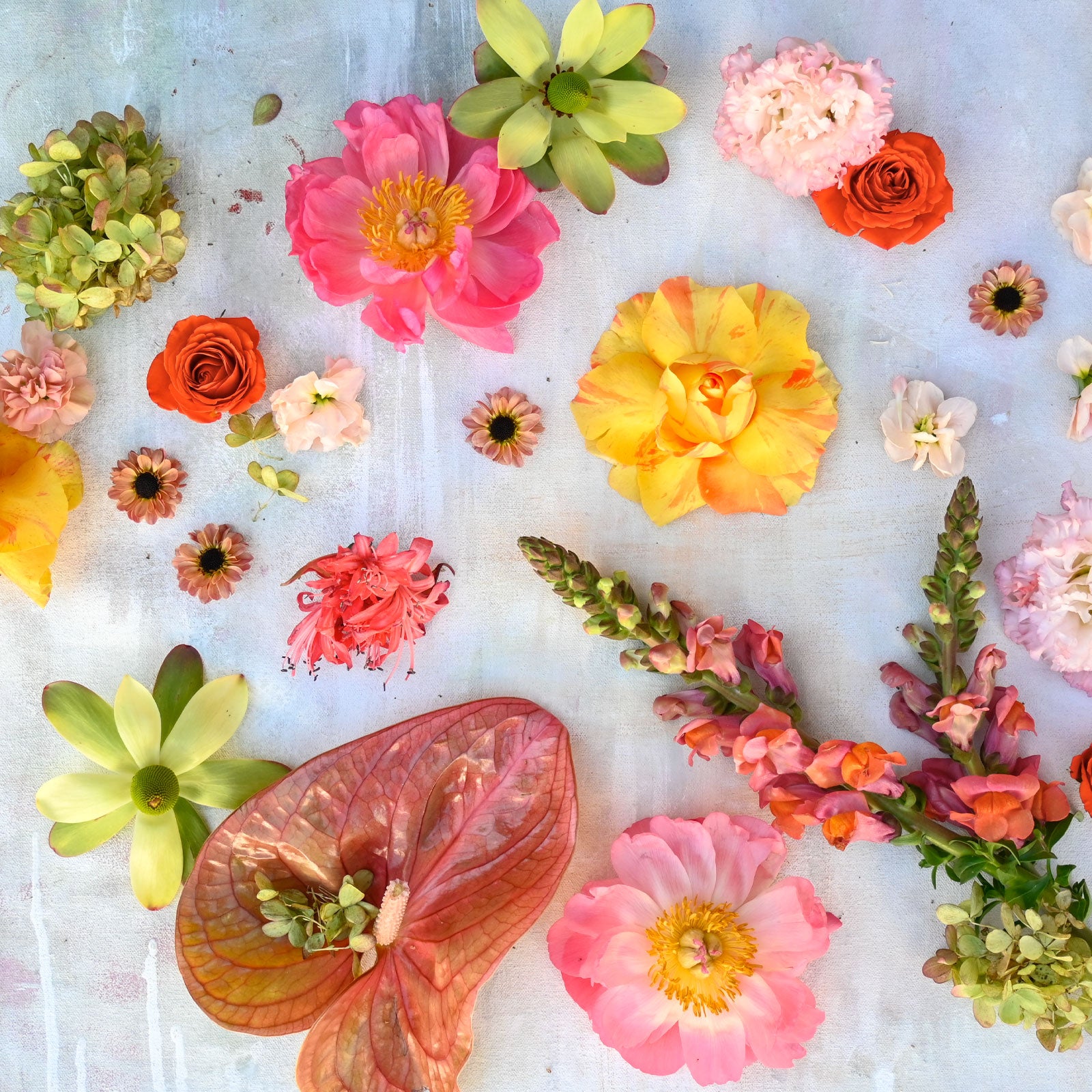 Deluxe Designer's Choice Vased Arrangement