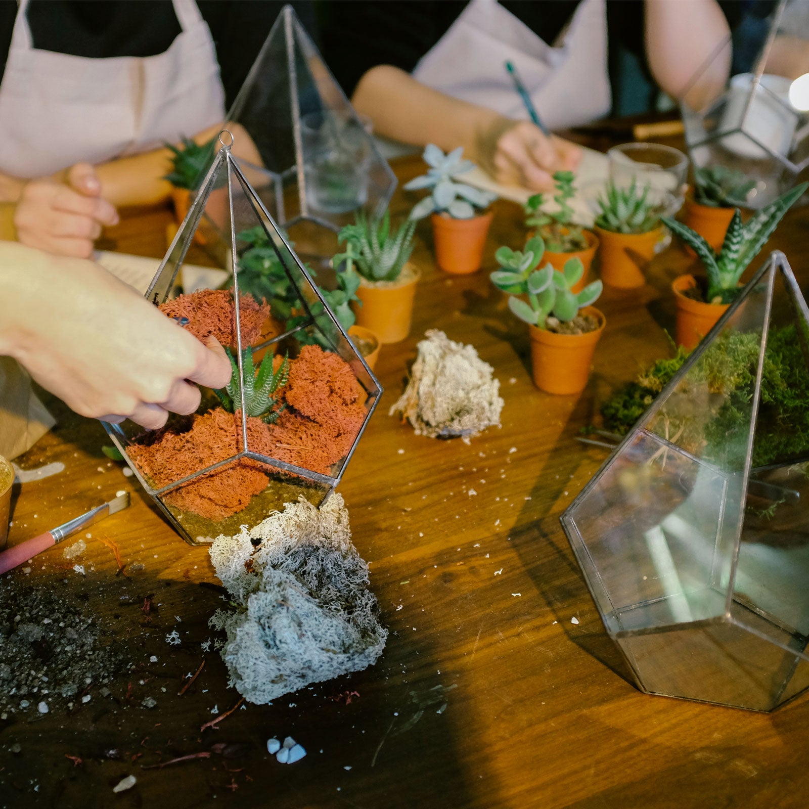 Spooky Terrarium Building Class - October 6