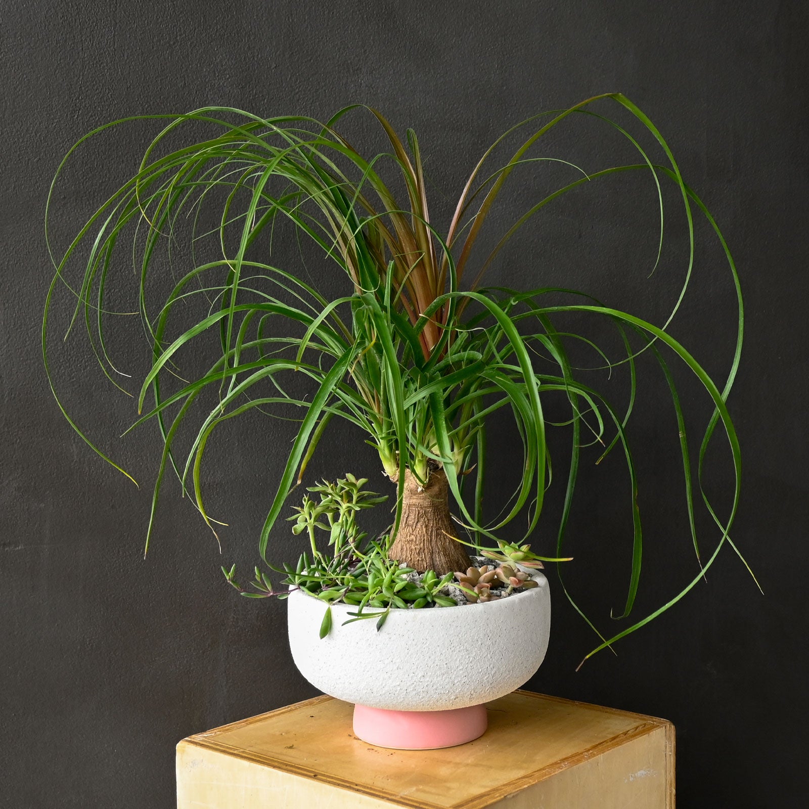 Palm Pendulum