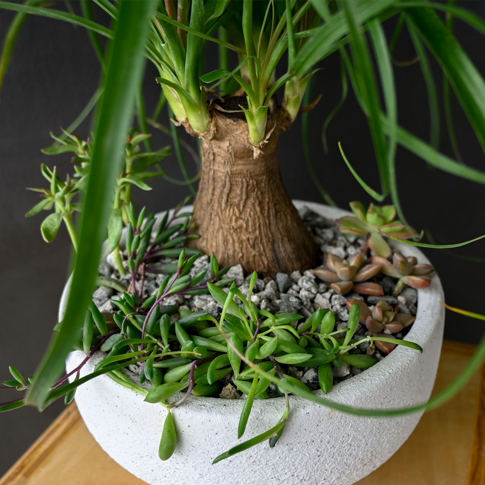 Palm Pendulum