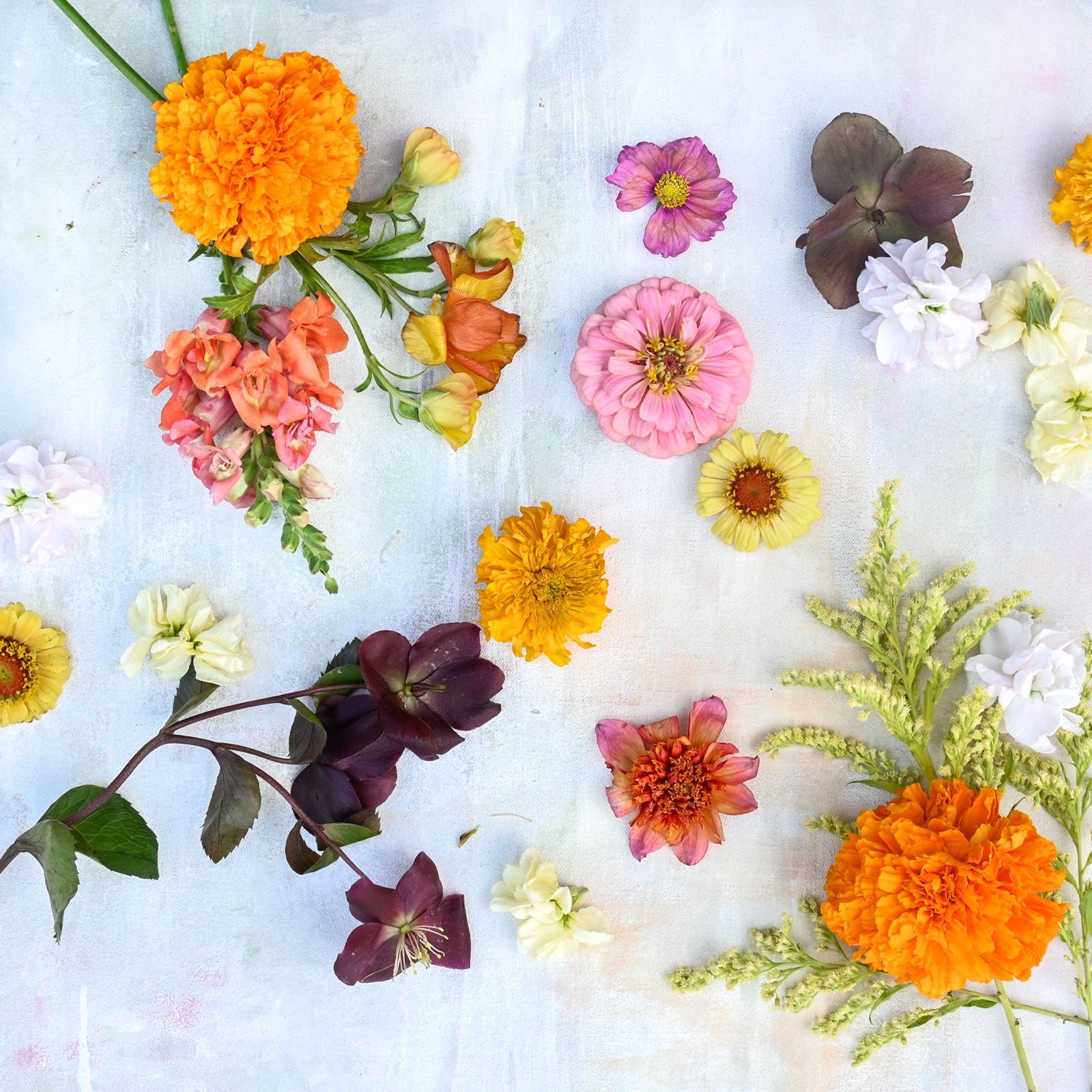 Showstopper Designer's Choice Vased Arrangement