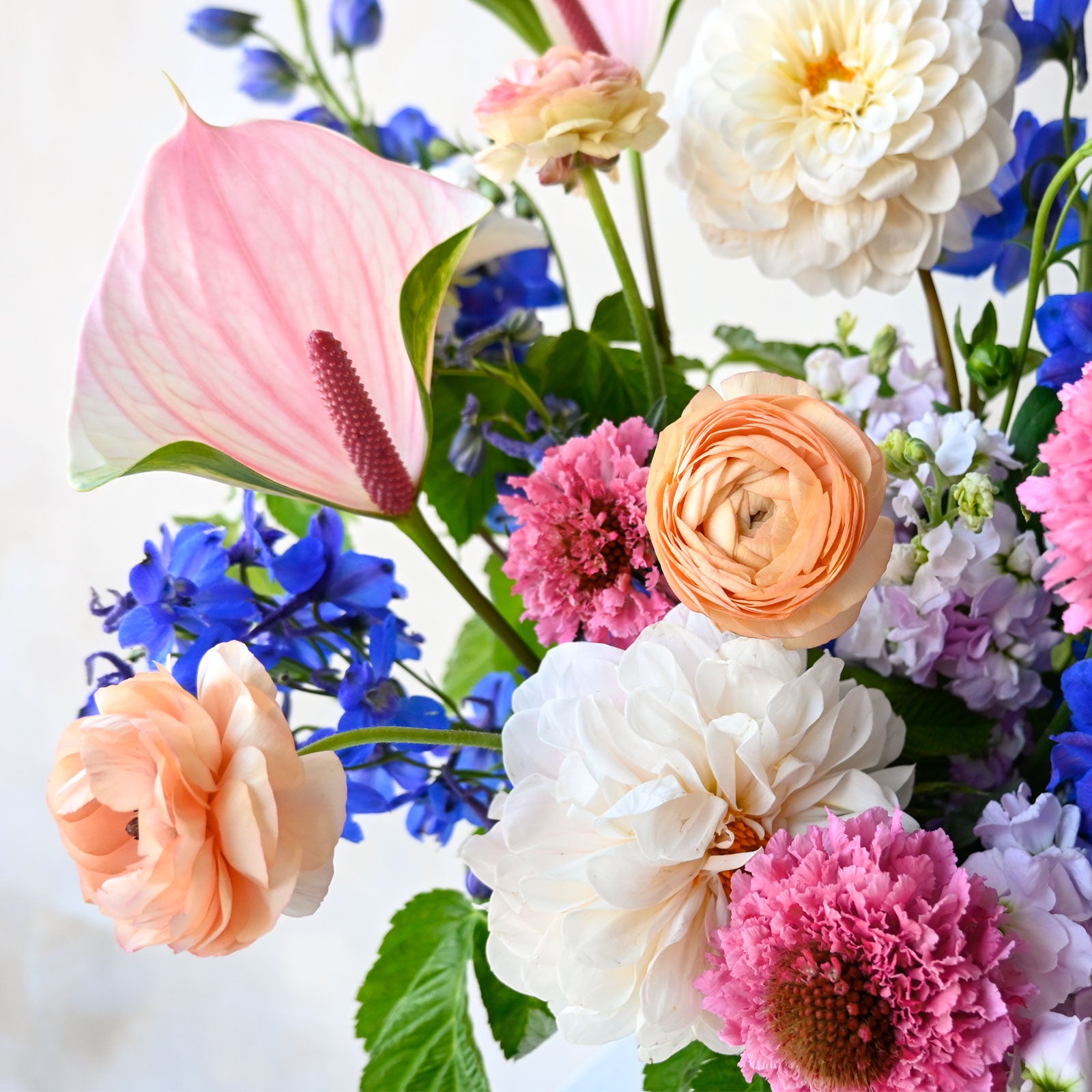 Indigo Chintz