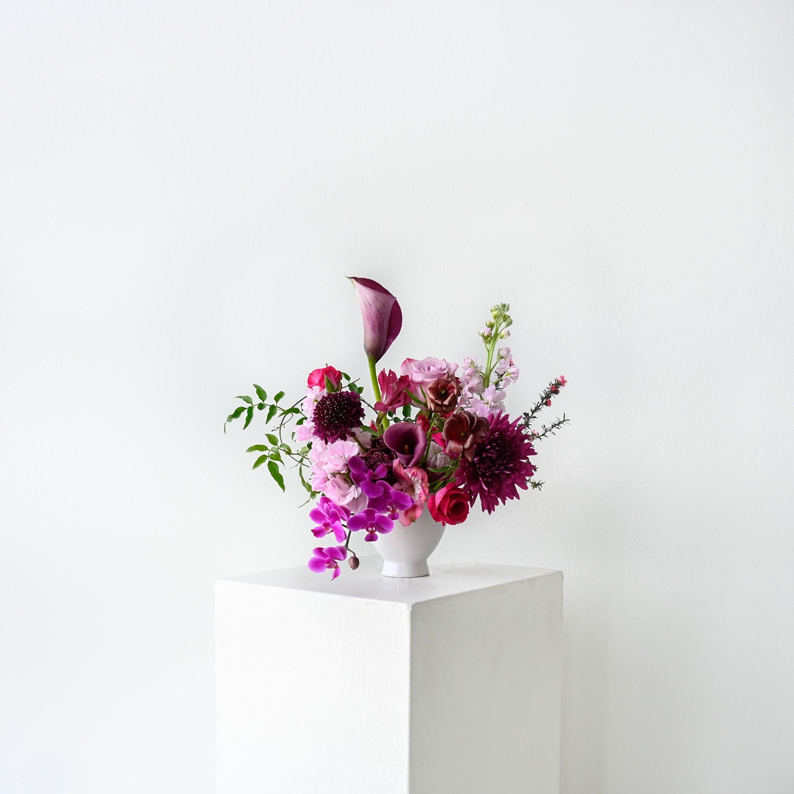 Designer's Choice Vased Arrangement