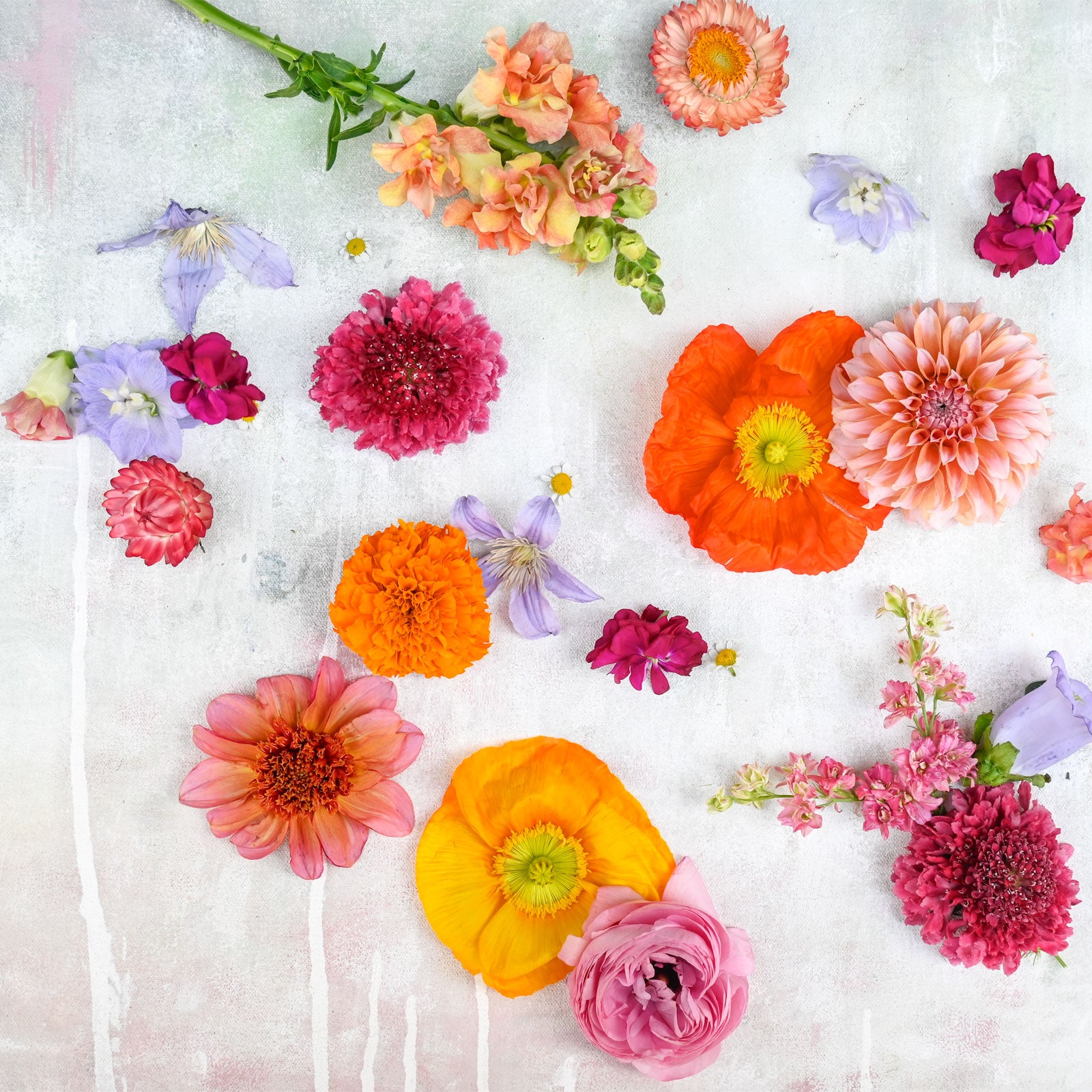 Boutonniere