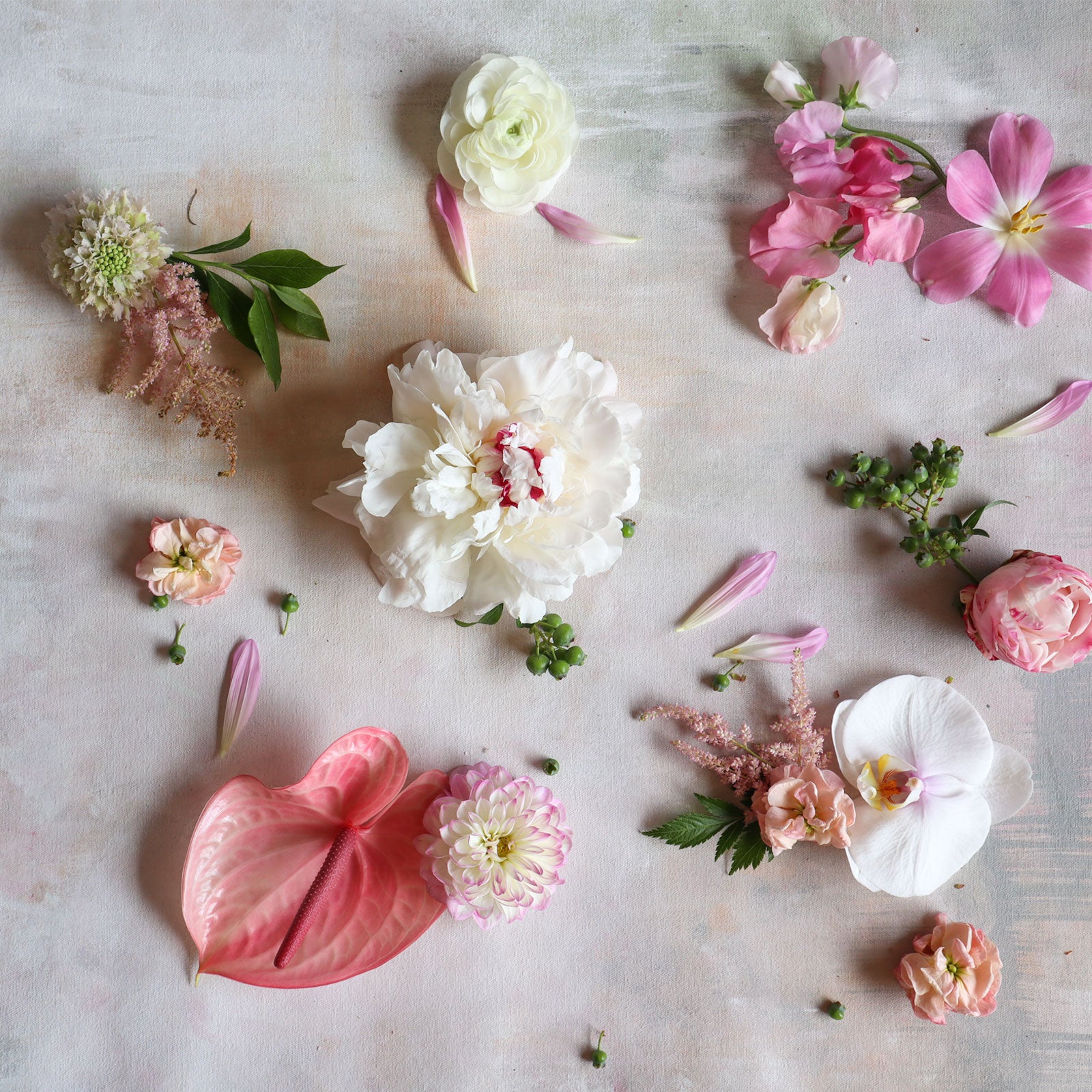 Rose Petals