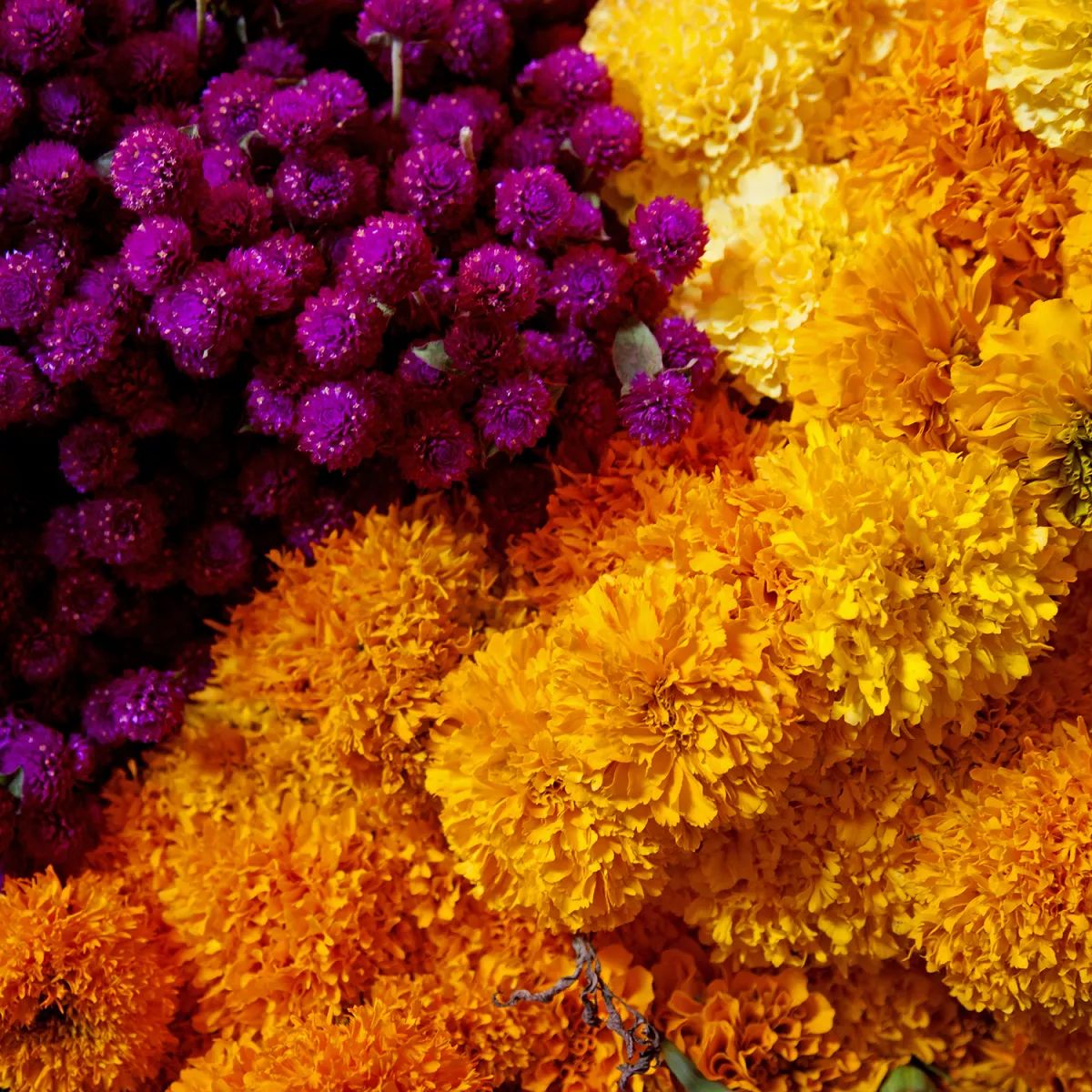 Día de Muertos Floral Celebration Class - October 30