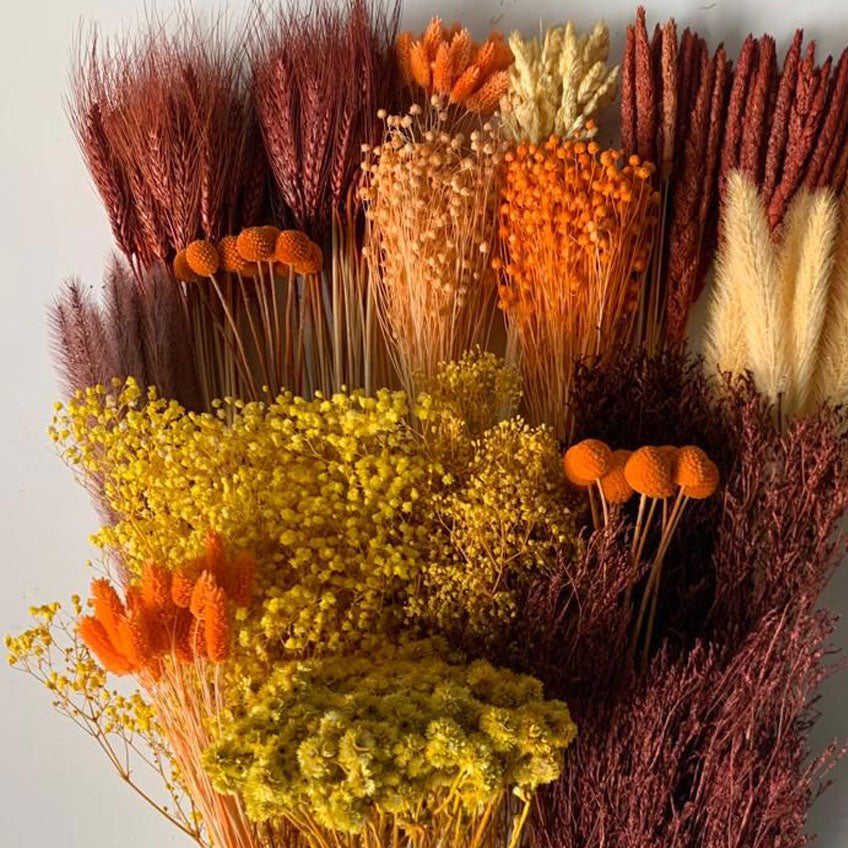 Working with Dried Flowers: Summer Sunset - June 26