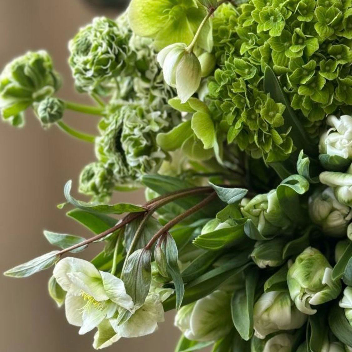 Monochromatic Floral Centerpiece Building: Lucky Greens - March 21