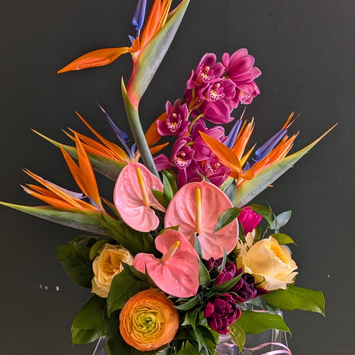 Late Summer Tropics - August 29