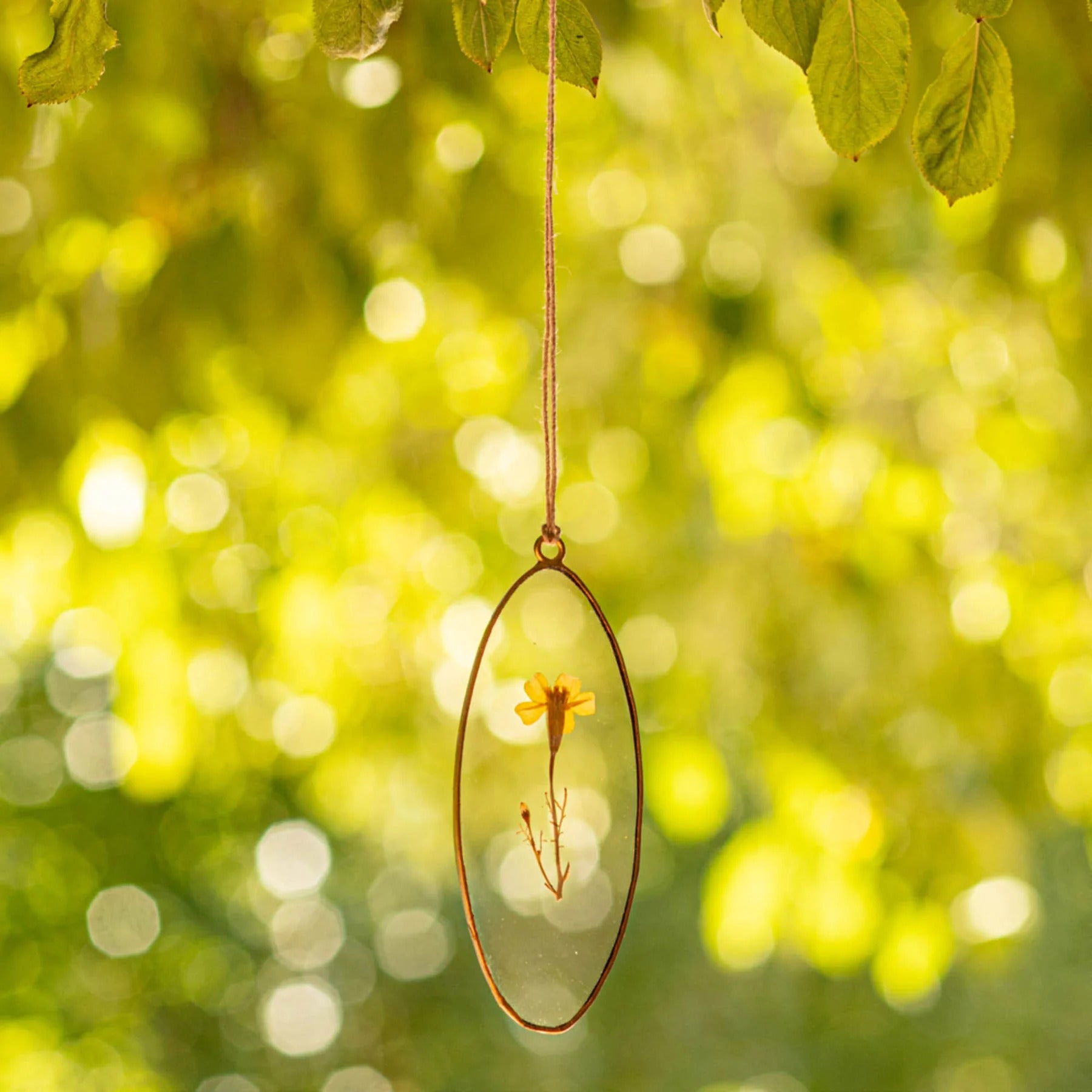 Rosy Rings Golden Oval Pressed Floral Suncatcher