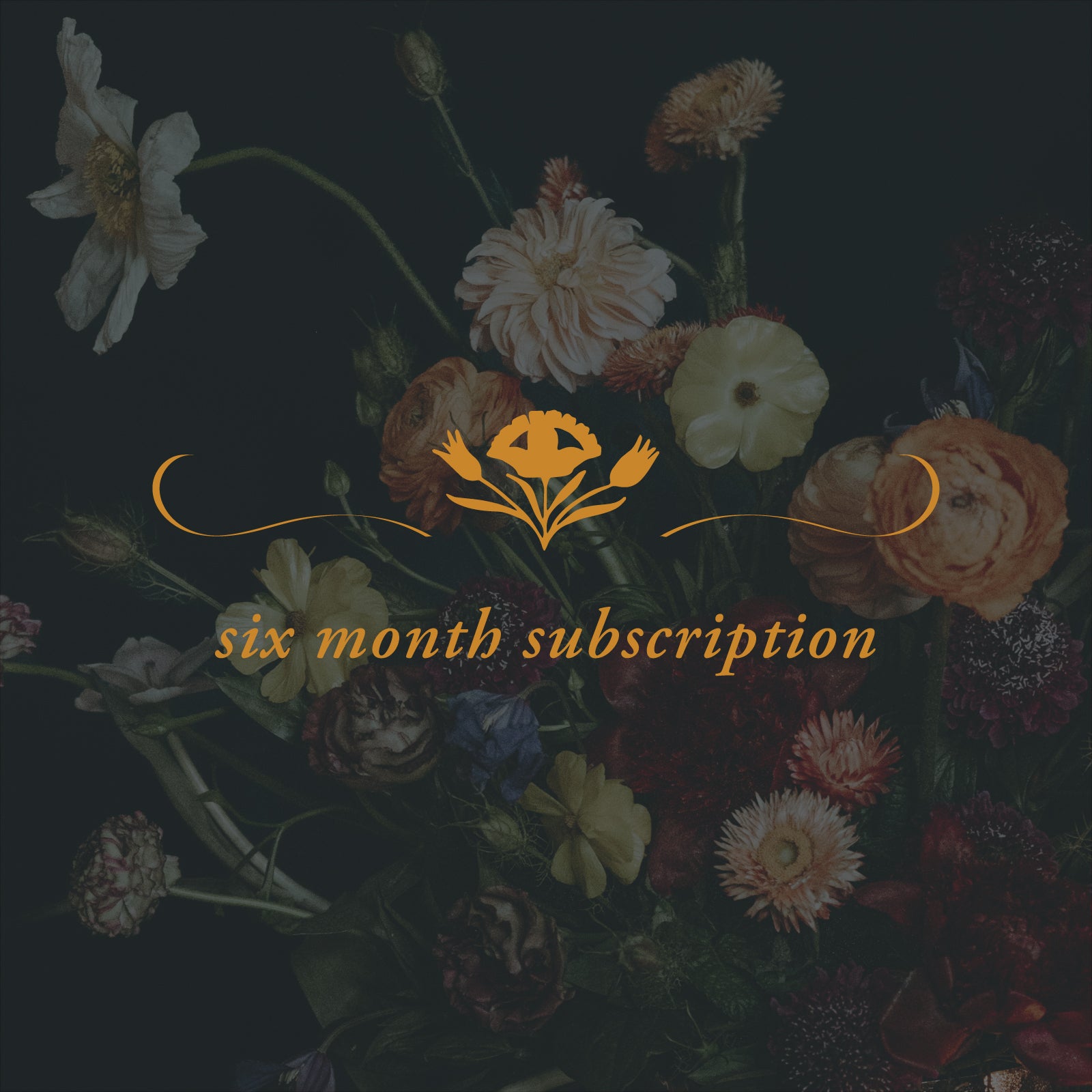 6 Month Floral Subscription